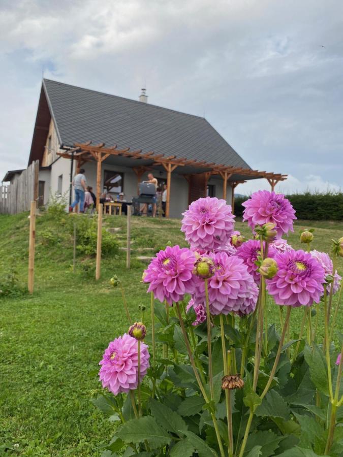 Apartmany U Mateje Dolní Morava Exterior foto